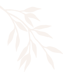 Kosmetiksternchen